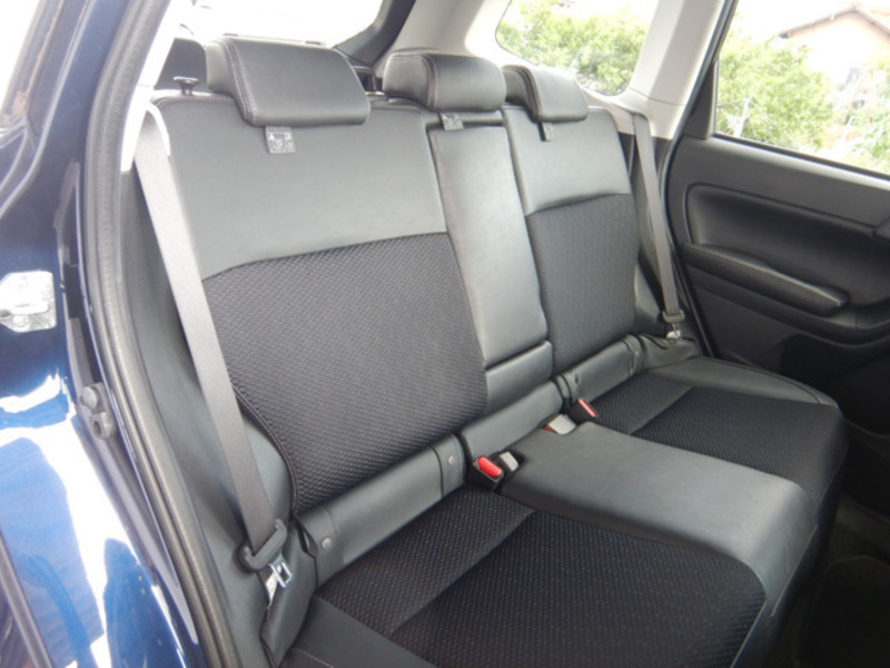 FORESTER-17