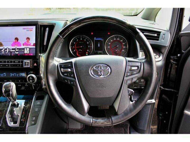 ALPHARD-12