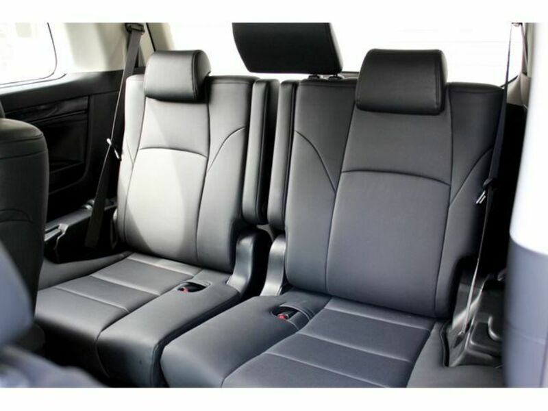 ALPHARD-19