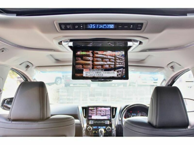 ALPHARD-22