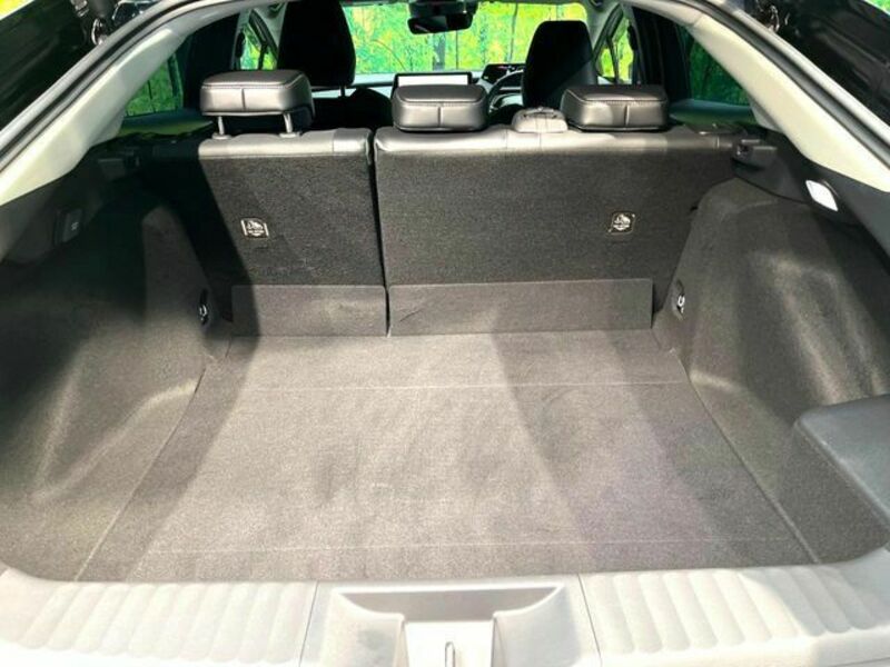 PRIUS-9