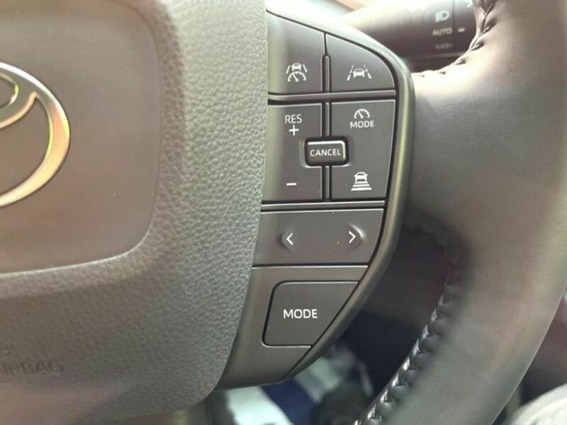 PRIUS-4