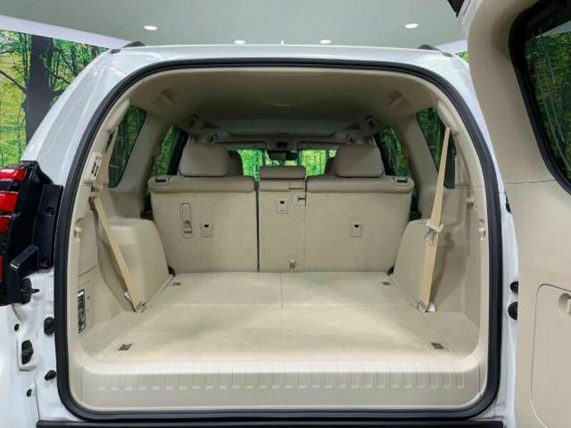 LAND CRUISER PRADO-11