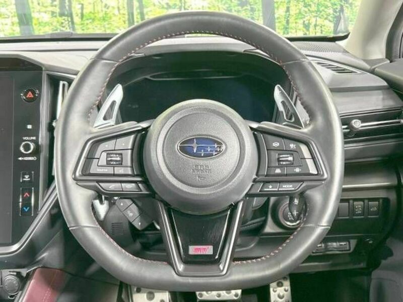 LEVORG-10
