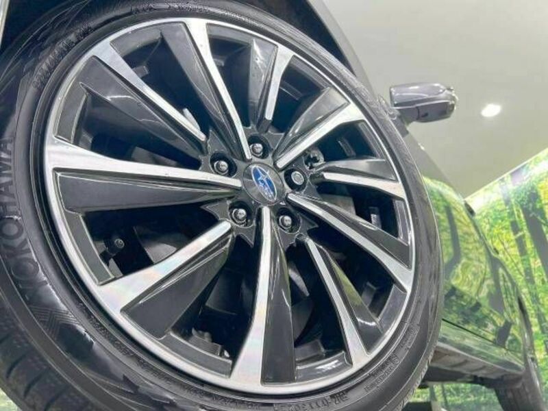 LEVORG-11