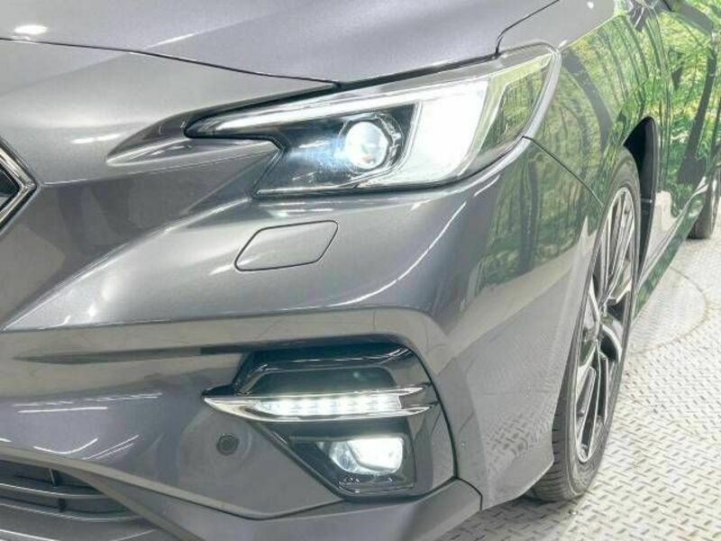 LEVORG-12