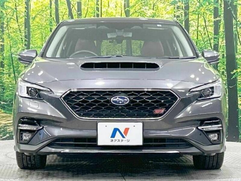 LEVORG-13