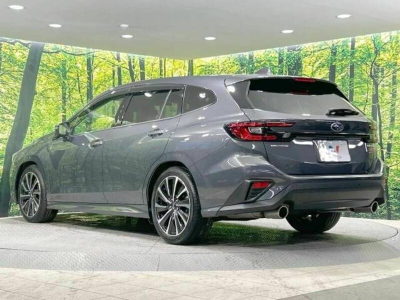 LEVORG-16