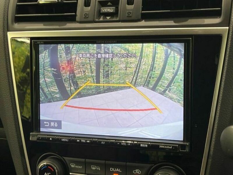 LEVORG-3