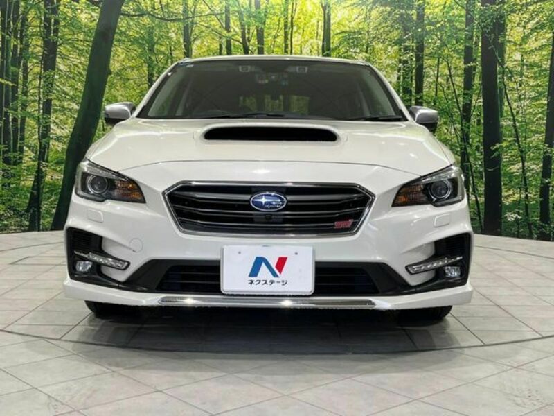 LEVORG-14