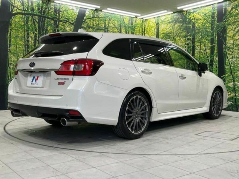 LEVORG-17