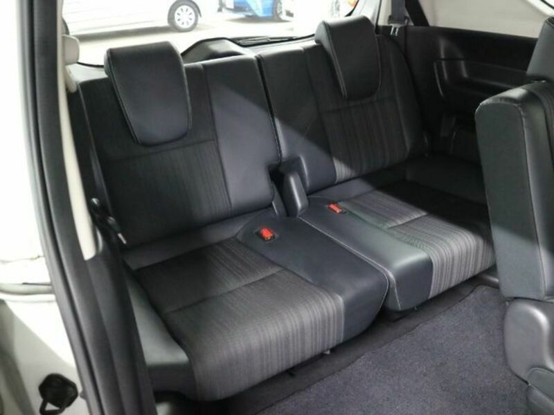 FREED HYBRID-13