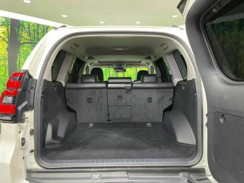 LAND CRUISER PRADO-10