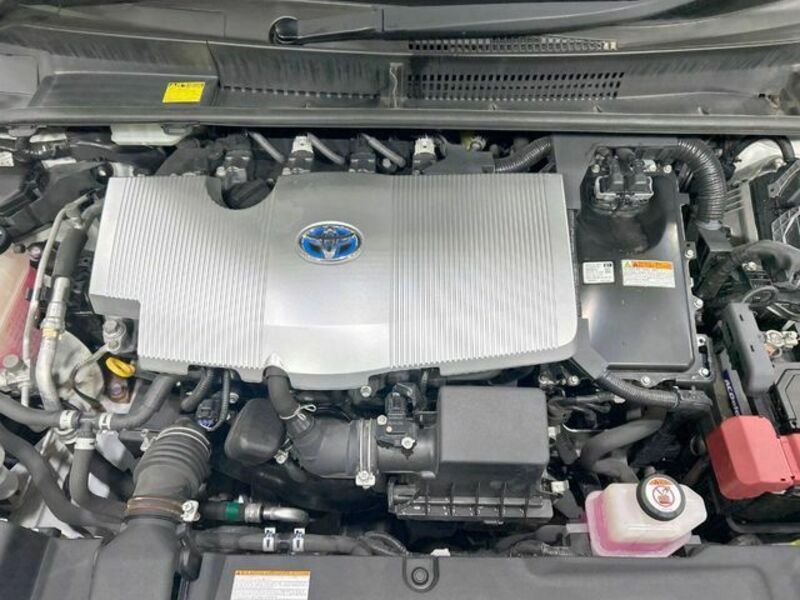 PRIUS-17