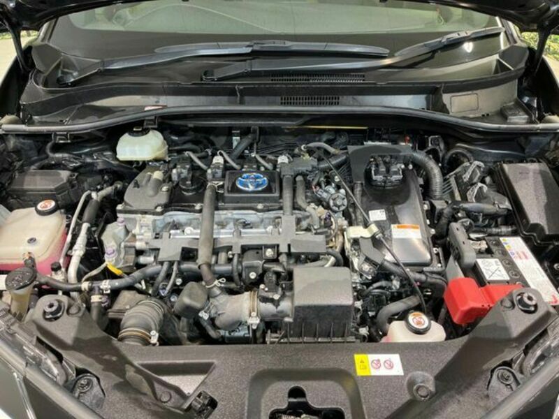 C-HR-19
