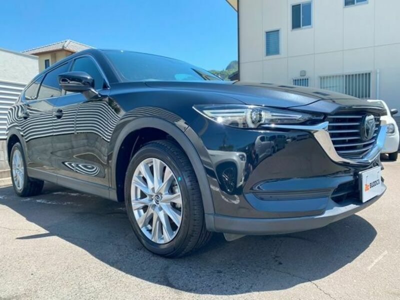 CX-8-1