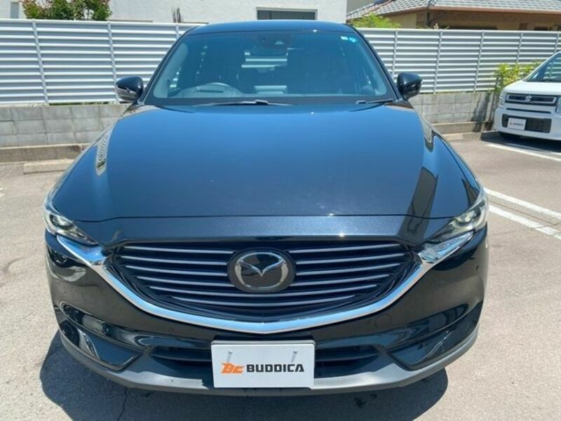 CX-8-2