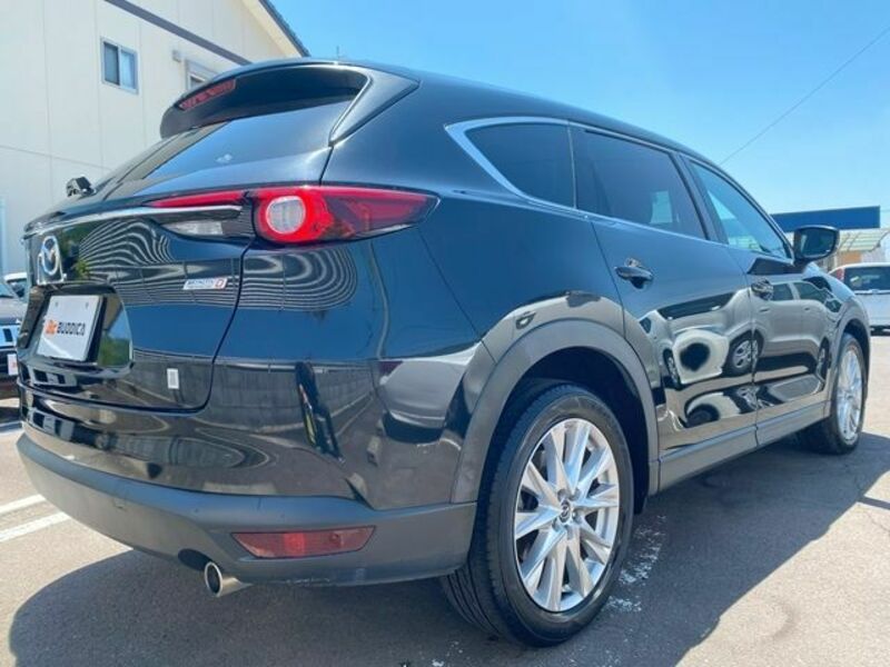 CX-8-6