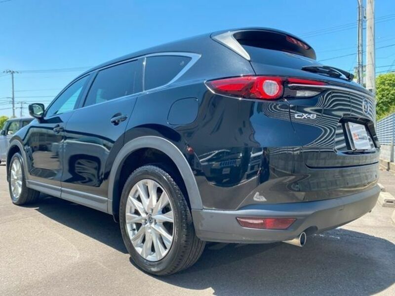 CX-8-8