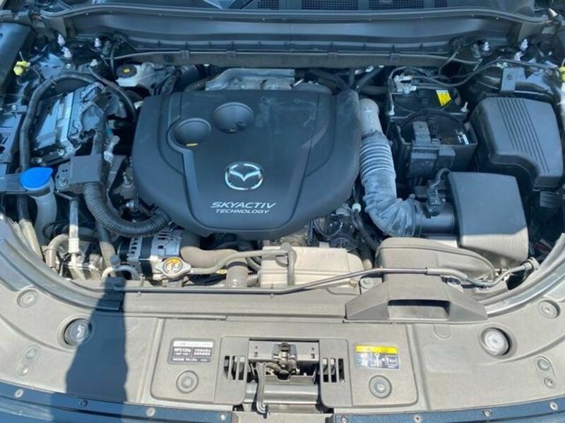 CX-8-28