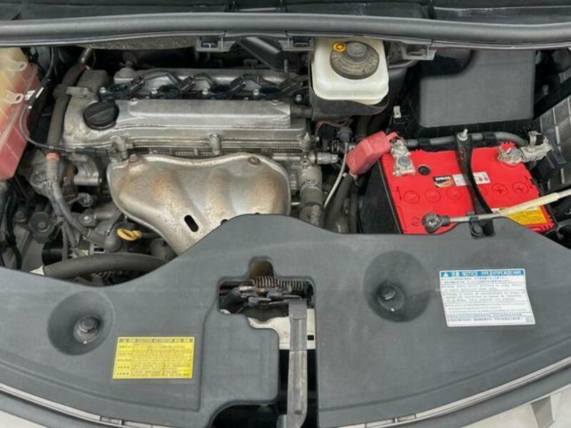 ALPHARD-18