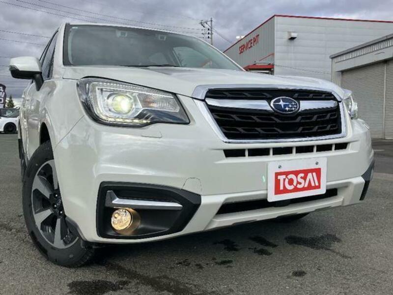 FORESTER