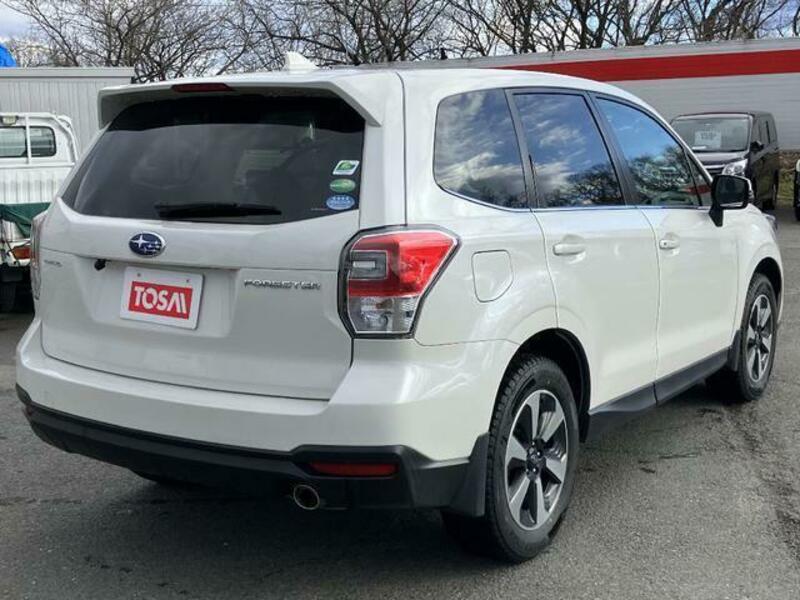 FORESTER
