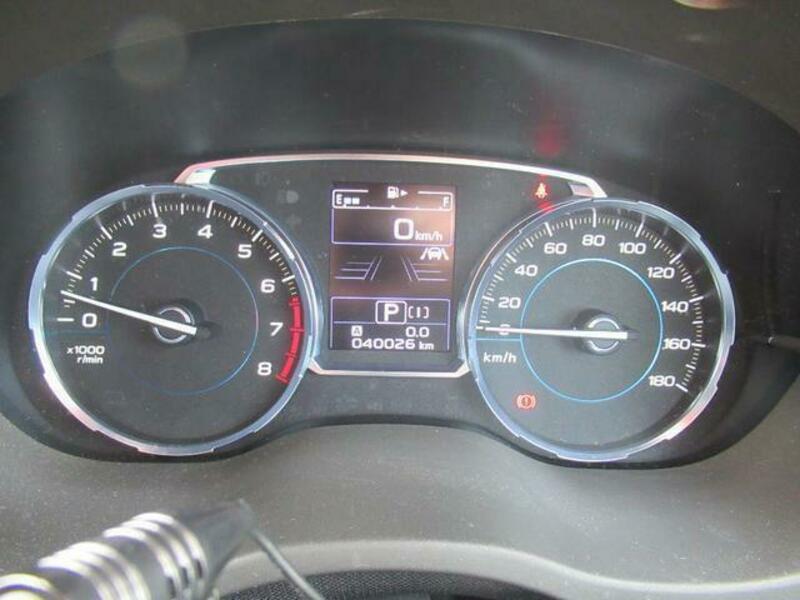 FORESTER-9