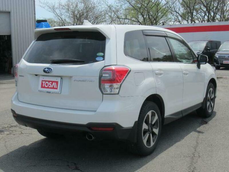 FORESTER-1