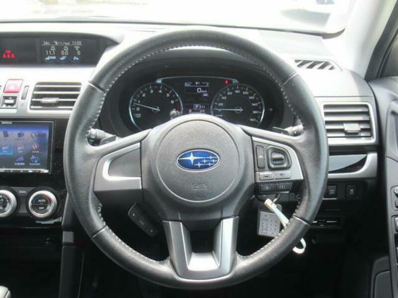 FORESTER-10