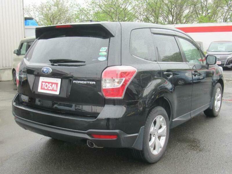 FORESTER