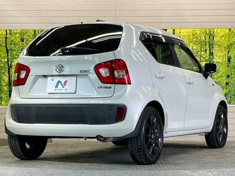 IGNIS-19