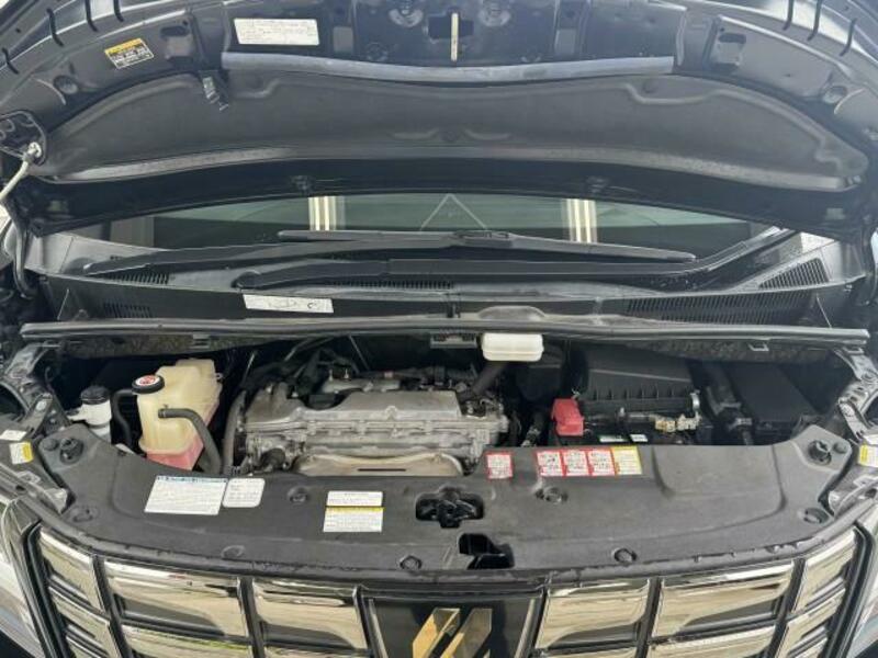 ALPHARD-6