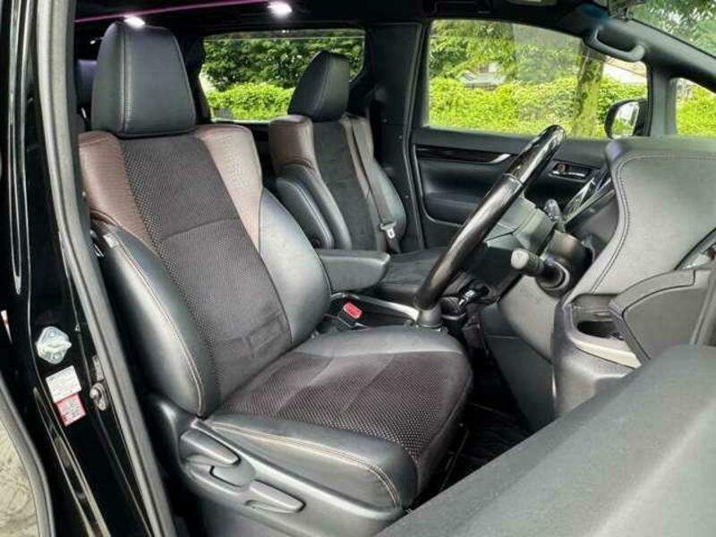 ALPHARD-19