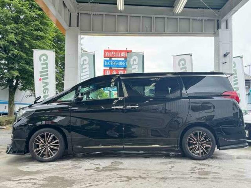 ALPHARD-13