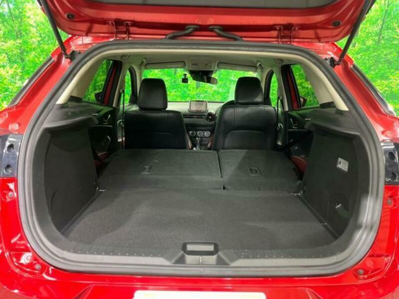 CX-3-10