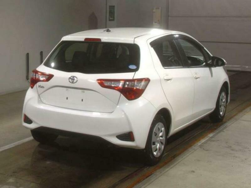 VITZ-1