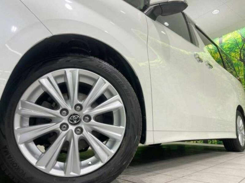 ALPHARD-13