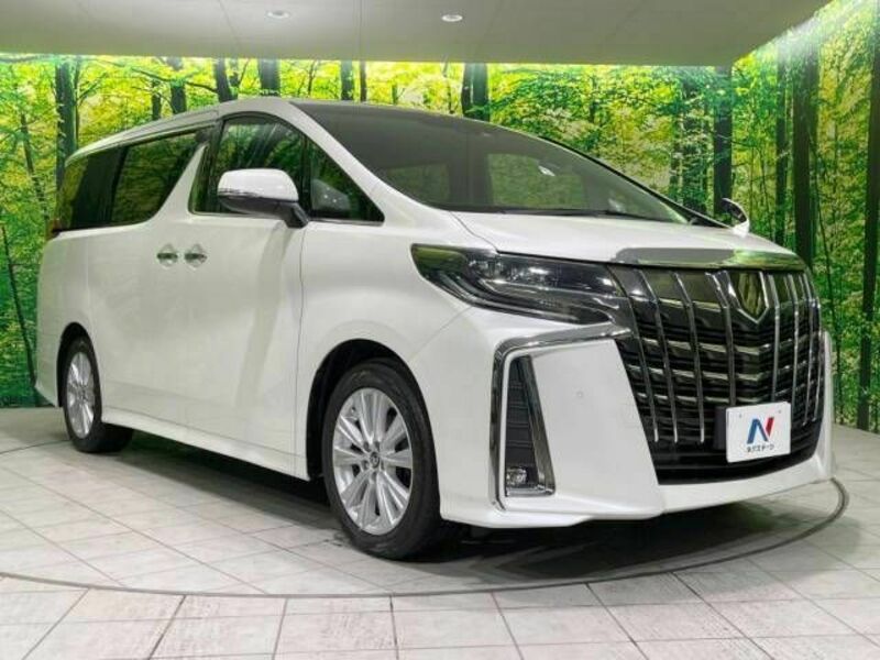 ALPHARD-16