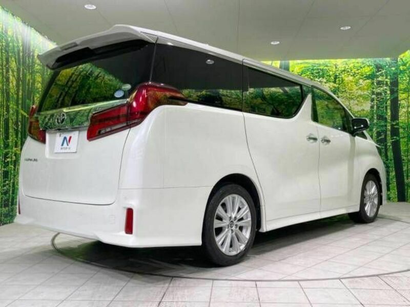 ALPHARD-17