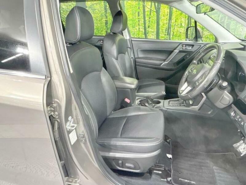 FORESTER