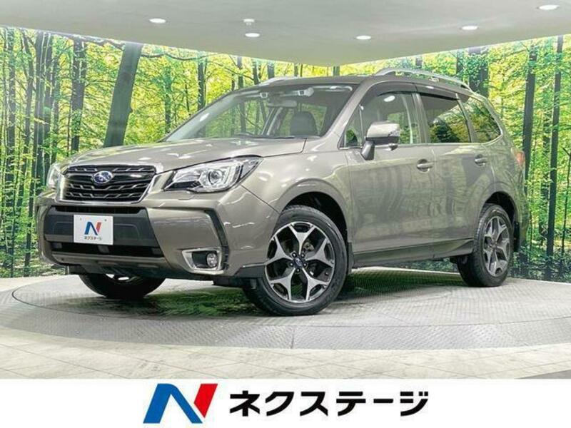 FORESTER