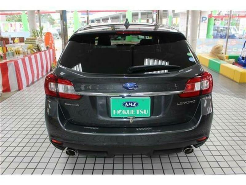 LEVORG-7