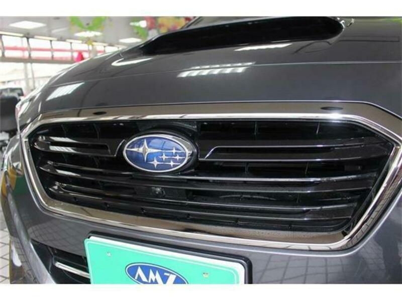 LEVORG-12