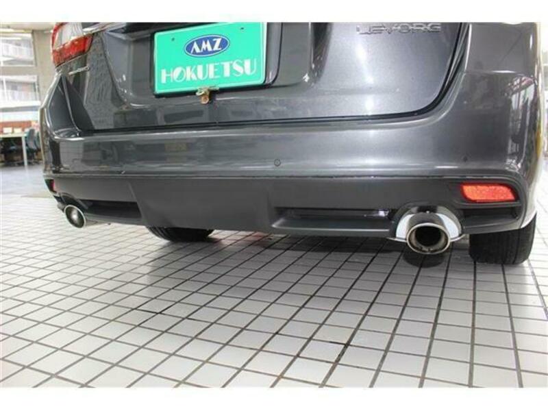 LEVORG-13