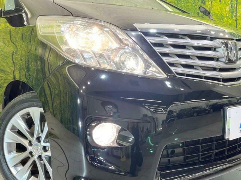 ALPHARD-12