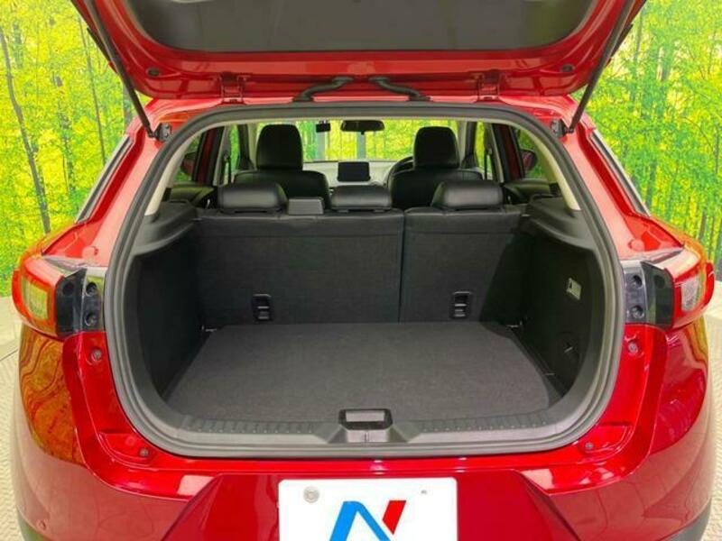 CX-3-10