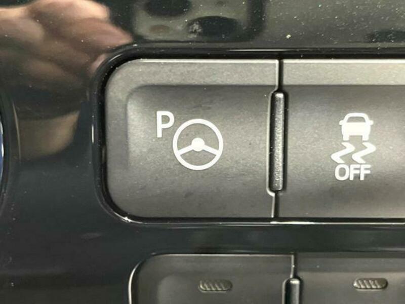 PRIUS-6