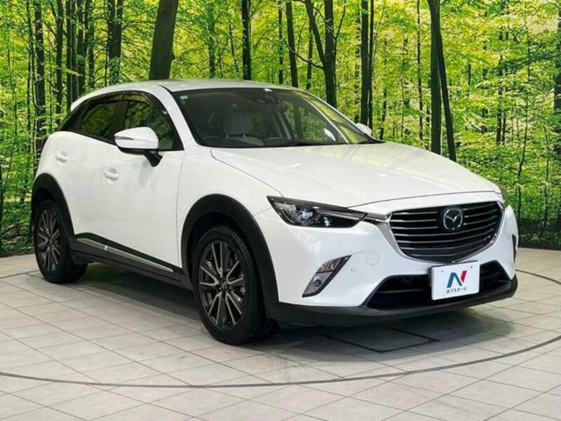 CX-3-17