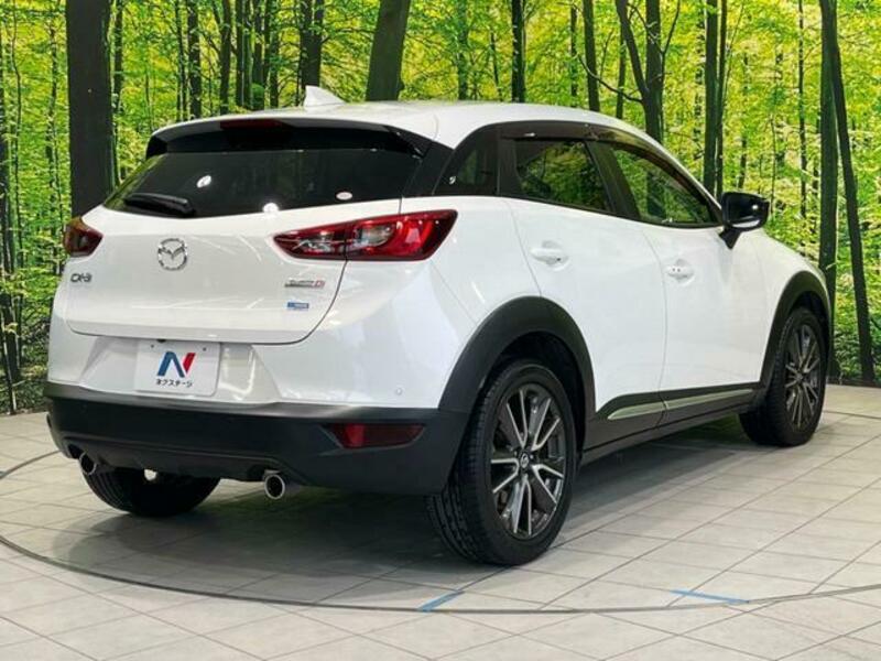 CX-3-18